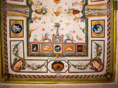 Sul perimetro un ricco festone ornato � arricchito da elementi vegetali, piccoli satiri, pavoni e chimere al di sotto dei quali sono raffigurati, in diverse forme geometriche, i segni zodiacali e personaggi del mito